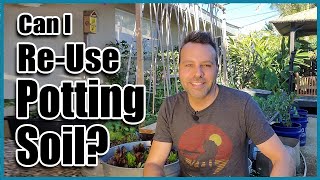 Can I Re-use Old Potting Soil in Containers? // How to Revitalize Old Potting Soil