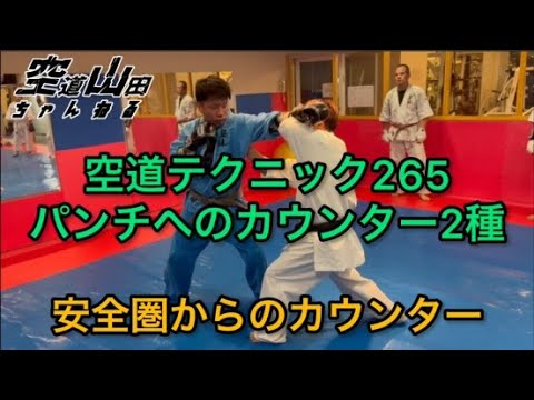 【武道】空道テクニック265「パンチへのカウンター2種」【格闘技】