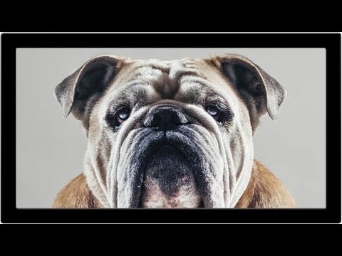 How to Set Up and Use a Wacom Tablet