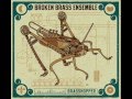 Broken Brass - I'll Fly Away ft. Harmen Ridderbos (Brasshopper)