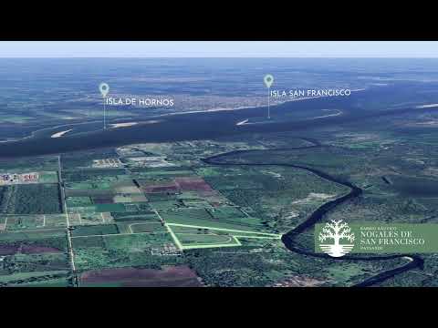 Nogales de San Francisco 2024