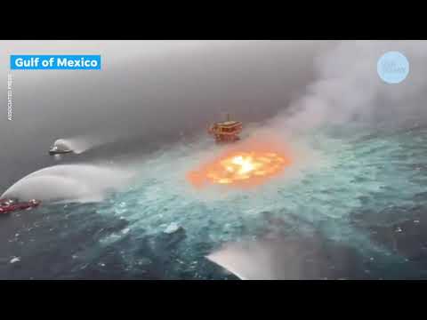 Dumpster Fire 63 Clip - Elon Musk Is A Special Needs Alien