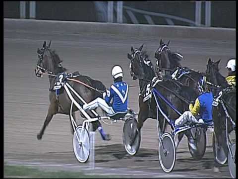 Trotto 24/01/2017 - 6ª corsa