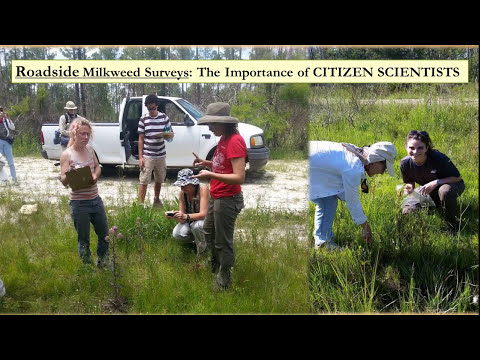 Monarchs and Milkweeds Talk Part 3:  CitizenScience