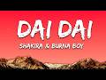 Shakira Burna Boy Dai Dai Lyrics World Cup Song 2026
