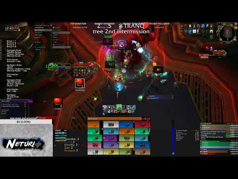 Neturi  - Mythic Vectis kill - Resto druid pov