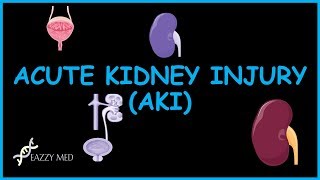 Acute Kidney Injury (AKI) causes, classification, features, diagnosis and treatment