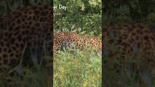 best Cabela's game 🐔🐔 #cabelas #pc #hunting