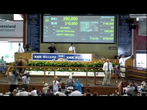 Lots 1 to 77, 2013 Gold Coast Magic Millions Yearling Sale Session 1