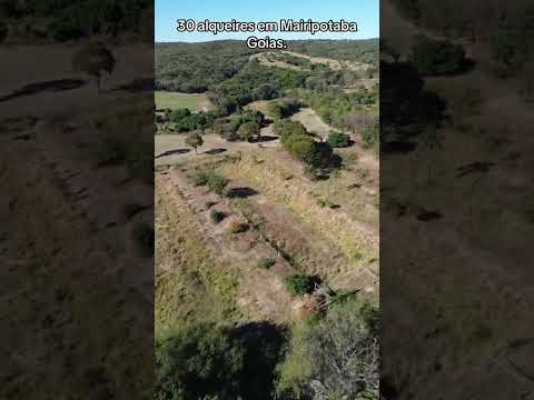 Fazenda em Mairipotaba Goias. Contato 62994647454.