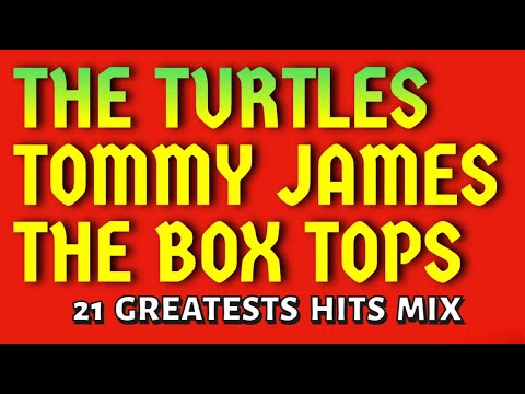 THE BOX TOPS / THE TURTLES / TOMMY JAMES & THE SHONDELLS           21 greatest hits mix