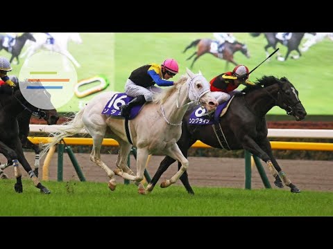 Asian Racing Review: Sodashi "ridden perfectly" in Victoria Mile defeat