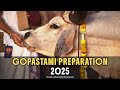 Gopashtami Preparations 2025 Honoring Sri Krishna S Divine Cowherd Pastimes