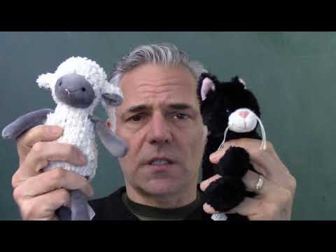 Relativity 01.01. Initial Statement of the Principle of Relativity