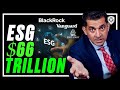 ESG EXPOSED - A $66 Trillion Dollar Weapon Used To Control Corporate America