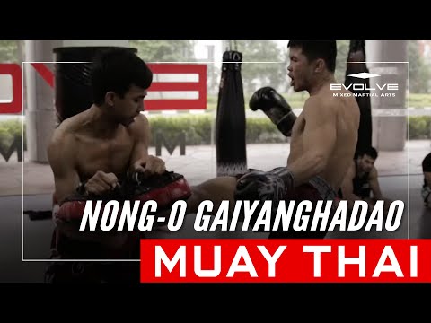 Muay Thai Legend Nong-O's 40 Roundhouse Kicks In 20 Seconds | Evolve University