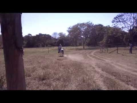 Nazaré C.F (Lislie)