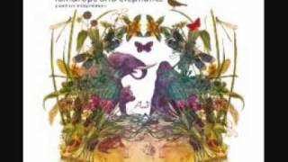 dunkelbunt - the rain