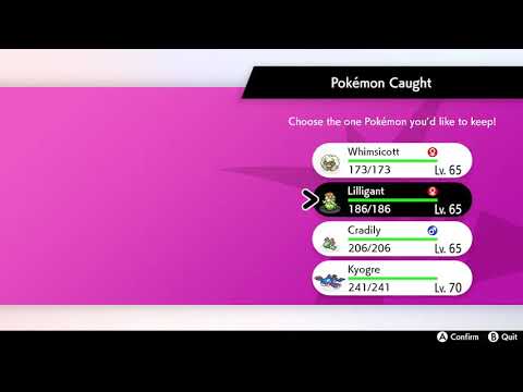 3 Shinies, 1 Dynamax Adventure, 0 Legendaries