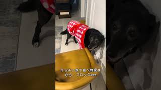 彼が冬によく作ってくれるスープのレシピ！色悪いねんけど味は抜群！•野菜なんでも好きなの•ひよこ豆/2缶•スープストック/今回はベジとビーフ•ドライチョリソー•塩胡椒•ベイリーフ#カナダ生活