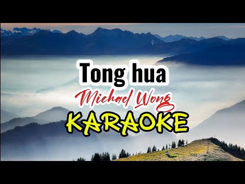 || TONG HUA Michael Wong || KARAOKE || Low Key