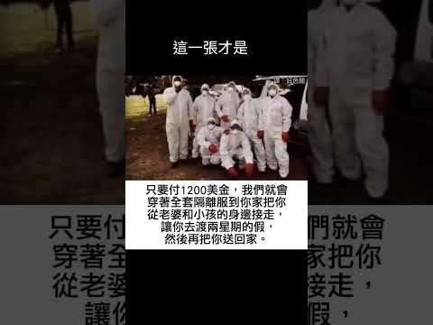 那一張圖最政治正確？