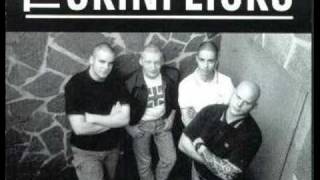 The Skinflicks - Punk Rock