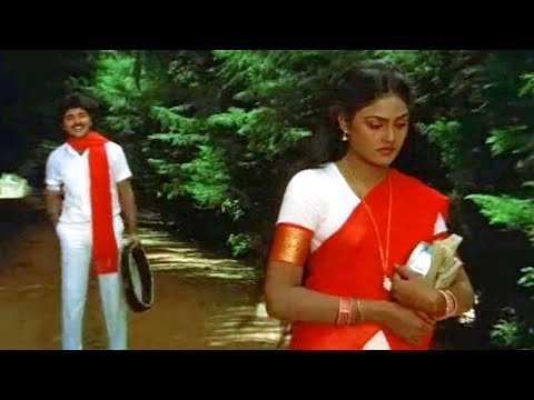 Sindhura Puvva Song | Nirosha, Ramki Evergreen Superhit Video Song | Sindhoora Puvvu Telugu Movie