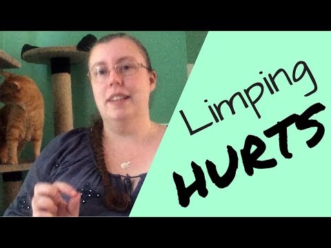 Limping Hurts | Your Vet Wishes You Knew