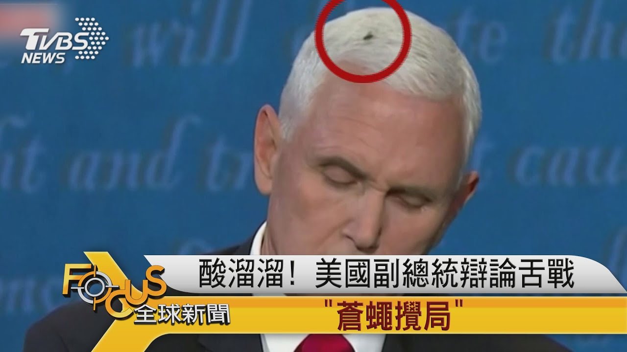 酸溜溜! 美國副總統辯論舌戰「蒼蠅攪局」