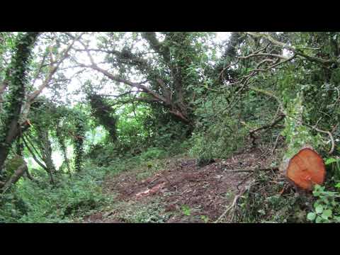 [FREE] brecken x skele x sendflowrs x vails x autumnisending x notahero type beat - vacant heart.