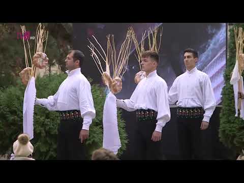 De 30 de ani fără Doina și Ion Aldea – Teodorovici