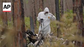 Small plane crash in Bahamas kills 10 people including musicians
