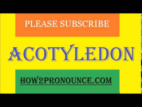 How To Pronounce ACMEISM