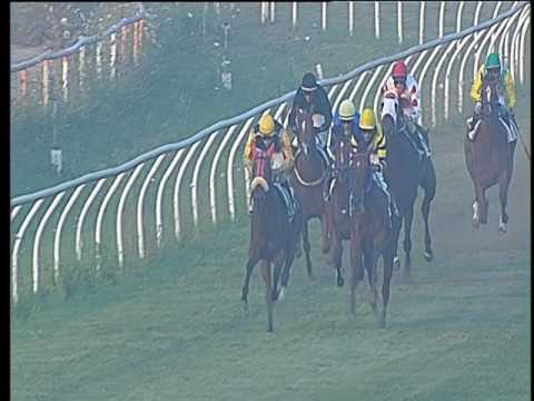 Galoppo 12/07/2017 - 3ª corsa