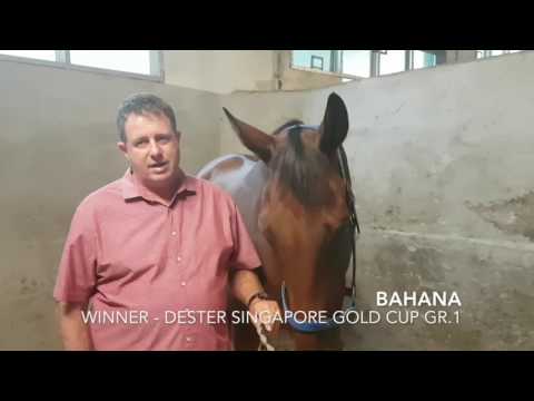 Stephen GRAY racing Karaka Yearling sales 2017