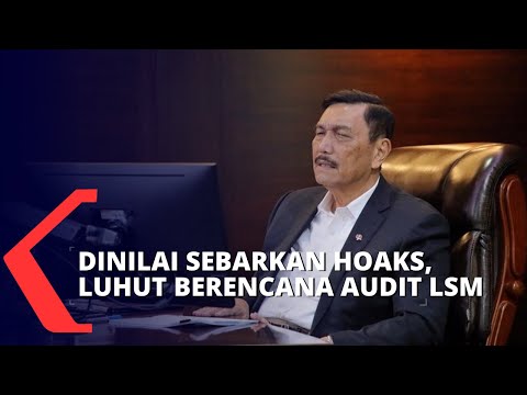 Luhut Berencana Audit LSM yang Dinilainya Sebarkan Hoaks
