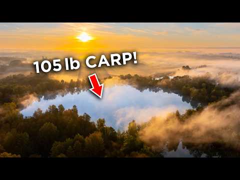 Fishing for the Biggest Carp in the World...