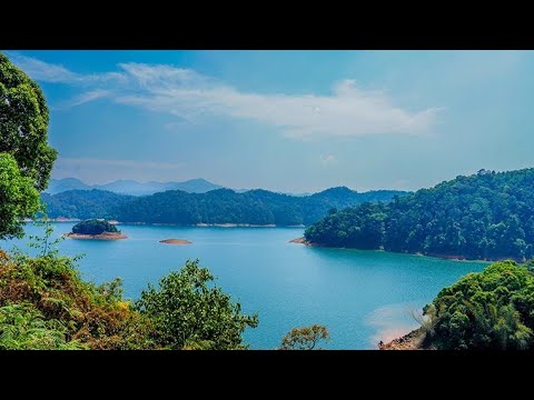 Thumbnail for Pilgrim video