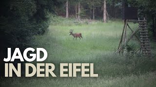 Jagd in der Eifel - ein neues Jagdjahr beginnt!