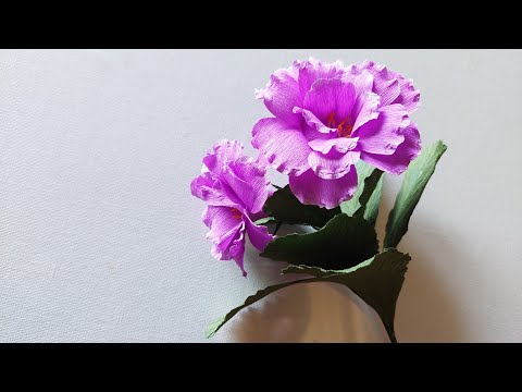 Sinningia speciosa flower  | Crepe Paper Flower Making | DIY