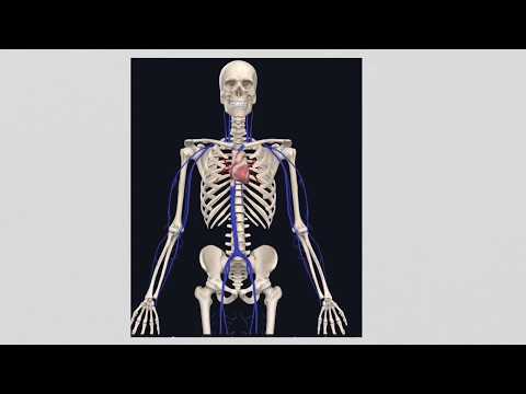 How is atrial flutter ablation performed?