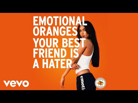 Video thumbnail for Your Best Friend is a Hater