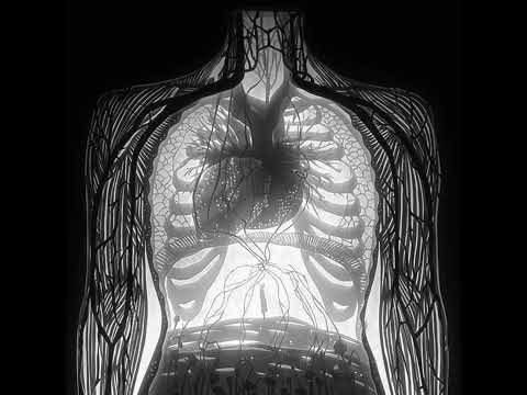 [FREE] Hard Techno X Club Rave Type Beat - “VOICE OF ANCESTORS” | EDM Club Banger Instrumental 2024