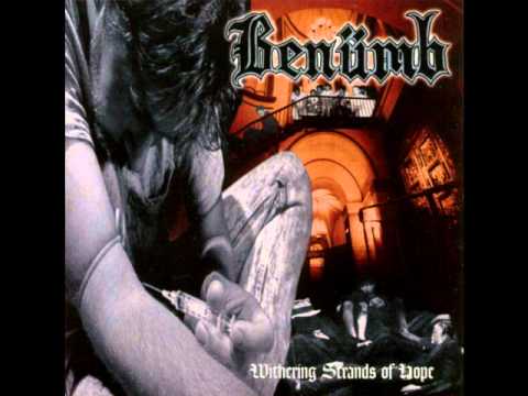 Benümb - Serenity Within Chaos