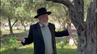 משמעות היום השמיני בכניסה המשותפת שלו ושלנו למקדש | הרב יהודה שלוש שליט"א (הרב יהודה שלוש) - התמונה מוצגת ישירות מתוך אתר האינטרנט יוטיוב. זכויות היוצרים בתמונה שייכות ליוצרה. קישור קרדיט למקור התוכן נמצא בתוך דף הסרטון