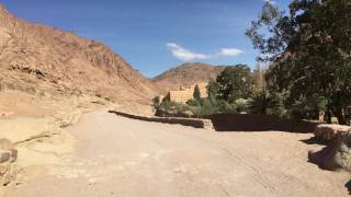 Nice Uber ride back to our hotel from St. Catherine's Monastery!