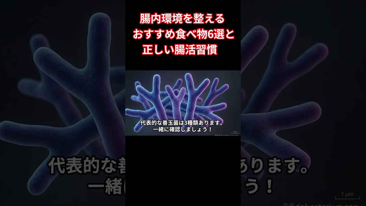 【完全版】腸活で人生変わった！腸内環境を整えるおすすめ食べ物6選と正しい腸活習慣#shorts
