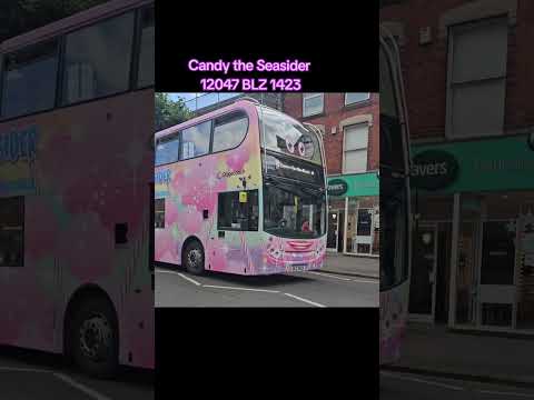 Candy the Seasider 12047 BLZ 1423
