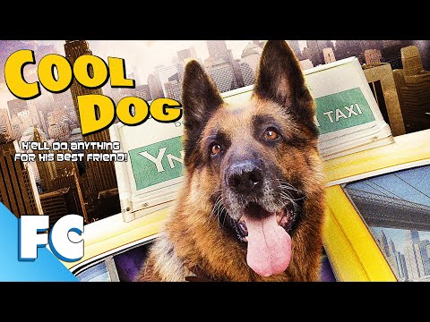 Cool Dog | Full Family Adventure Comedy Movie | Family Central